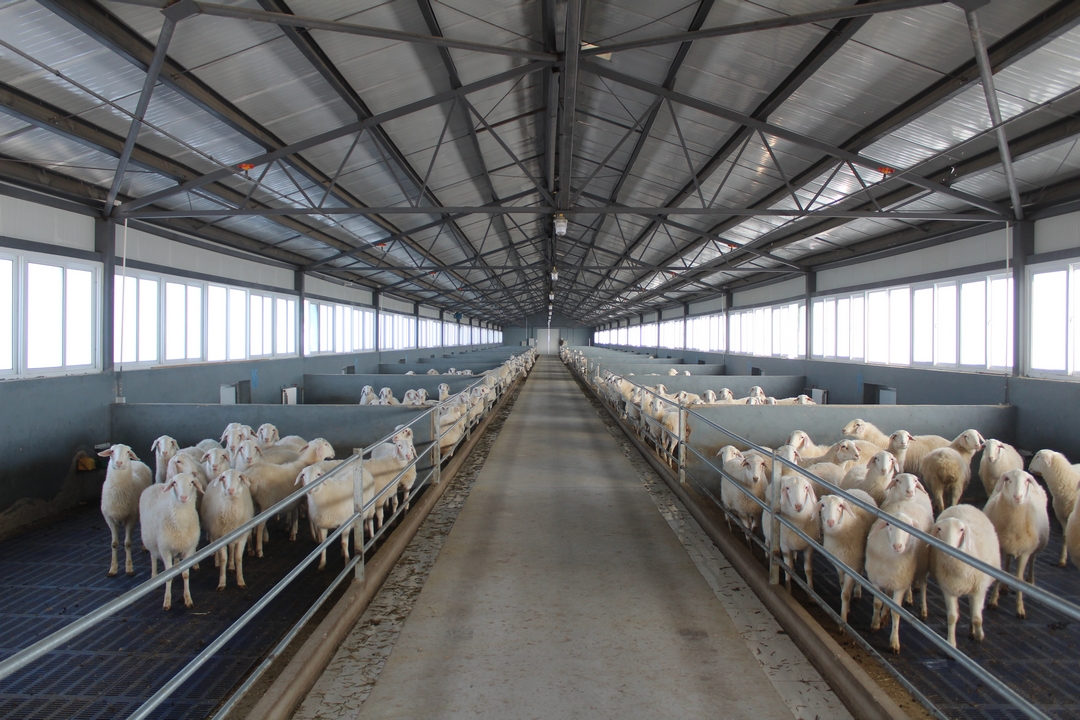 當好產(chǎn)業(yè)扶貧主力軍，打贏脫貧攻堅戰(zhàn)