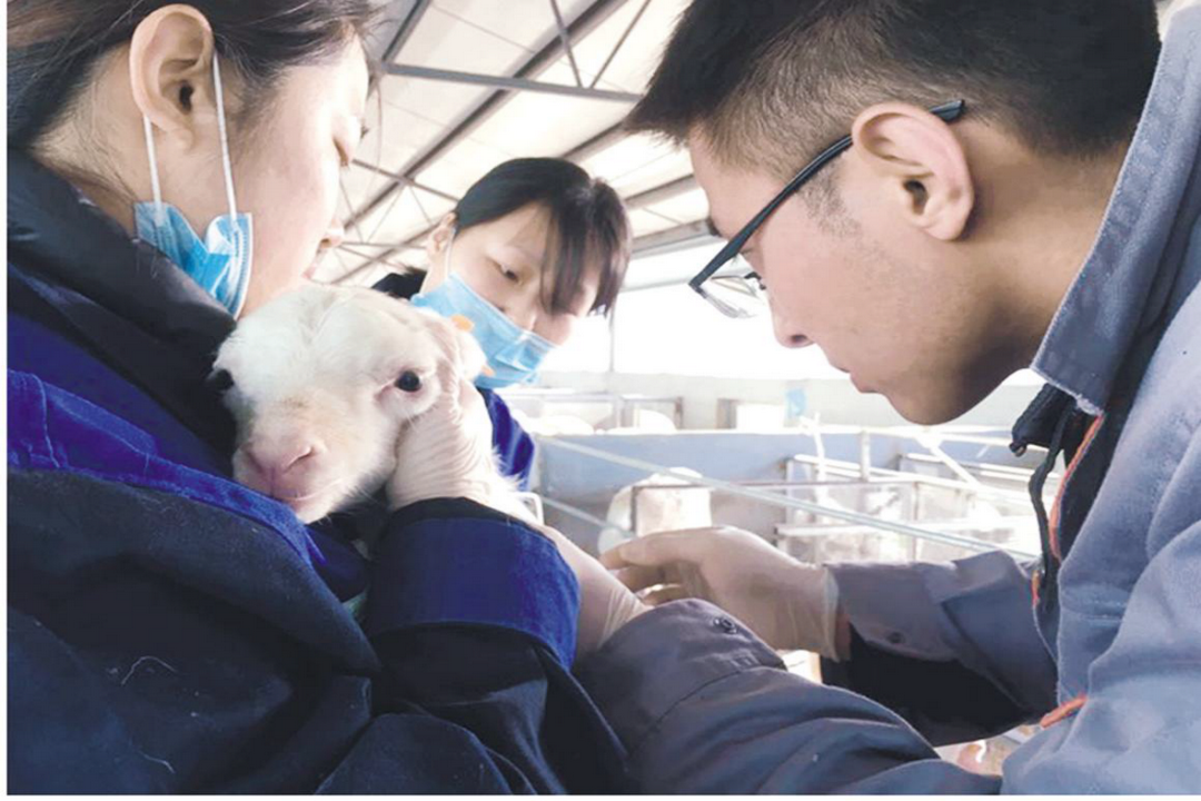 當好產(chǎn)業(yè)扶貧主力軍，打贏脫貧攻堅戰(zhàn)